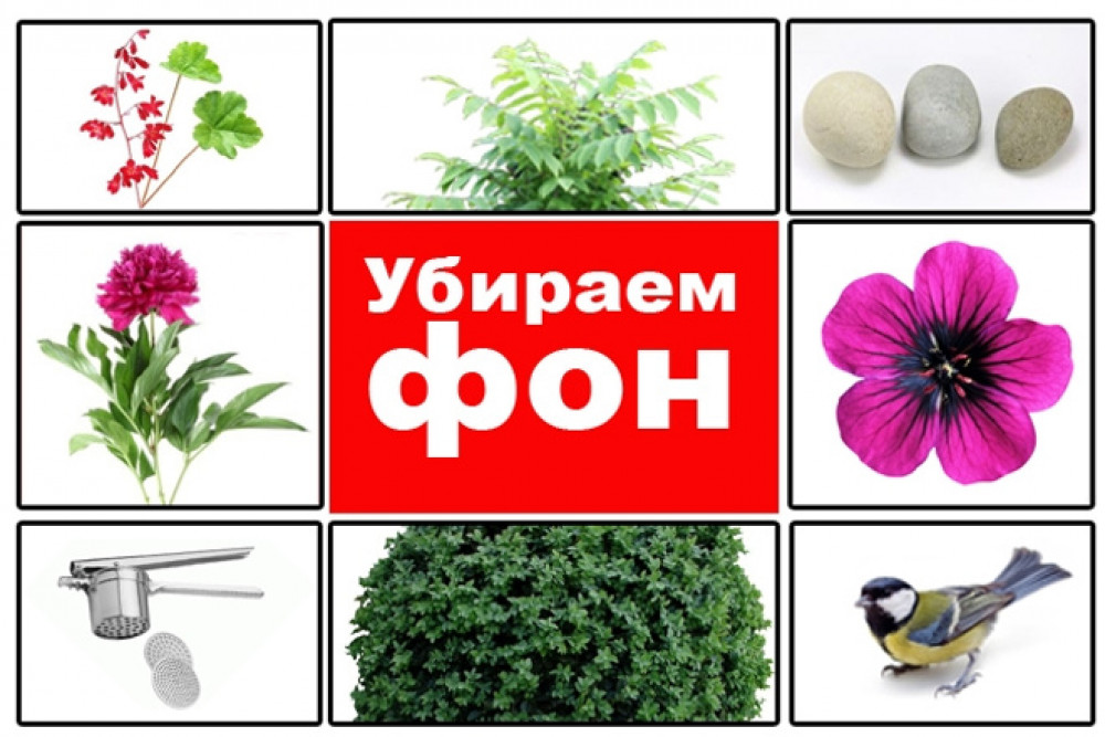 Удалю фон на картинке. Заменю старый фон на белый (фото)