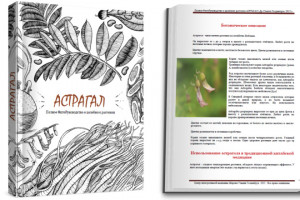 Создам электронную книгу в PDF из вашего материала (фото)
