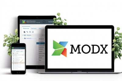 Интеграция сайта на MODX Revo miniShop2 с iikoru