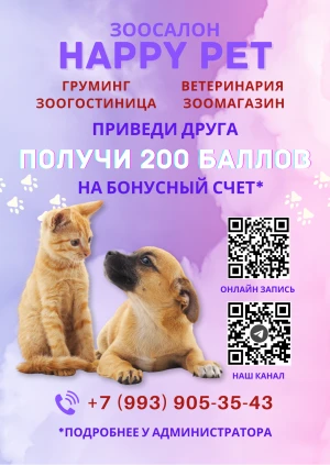 Дизайн Листовок (фото)