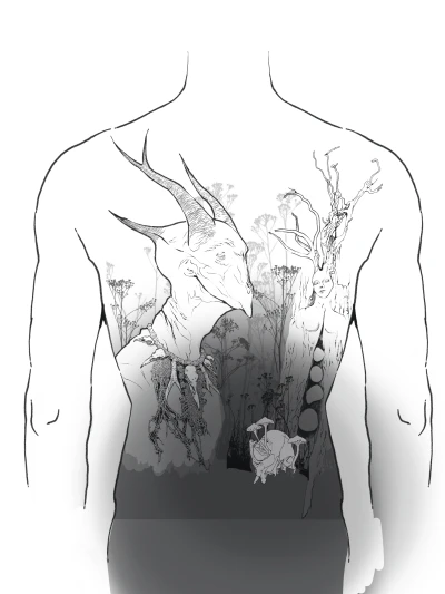 арты иллюстрации